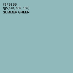 #8FB9BB - Summer Green Color Image